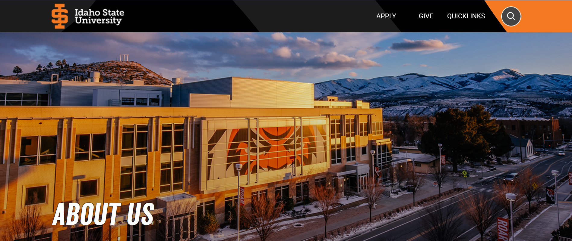 University website